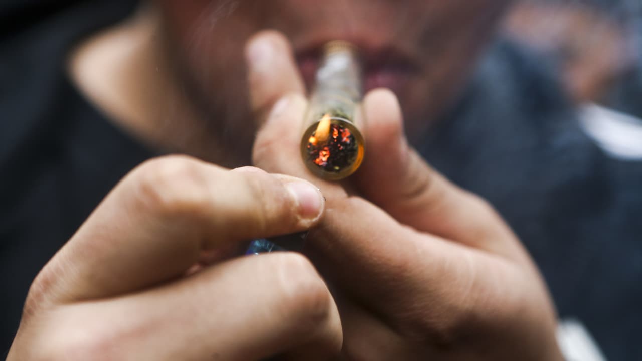 Consumo de marihuana: ¿qué consecuencias podría tener para la salud si se fuma todos los días?