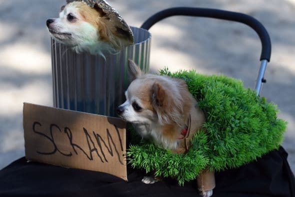 No necesitas gastar mucho dinero, solo necesitas un poco de ingenio y creatividad.