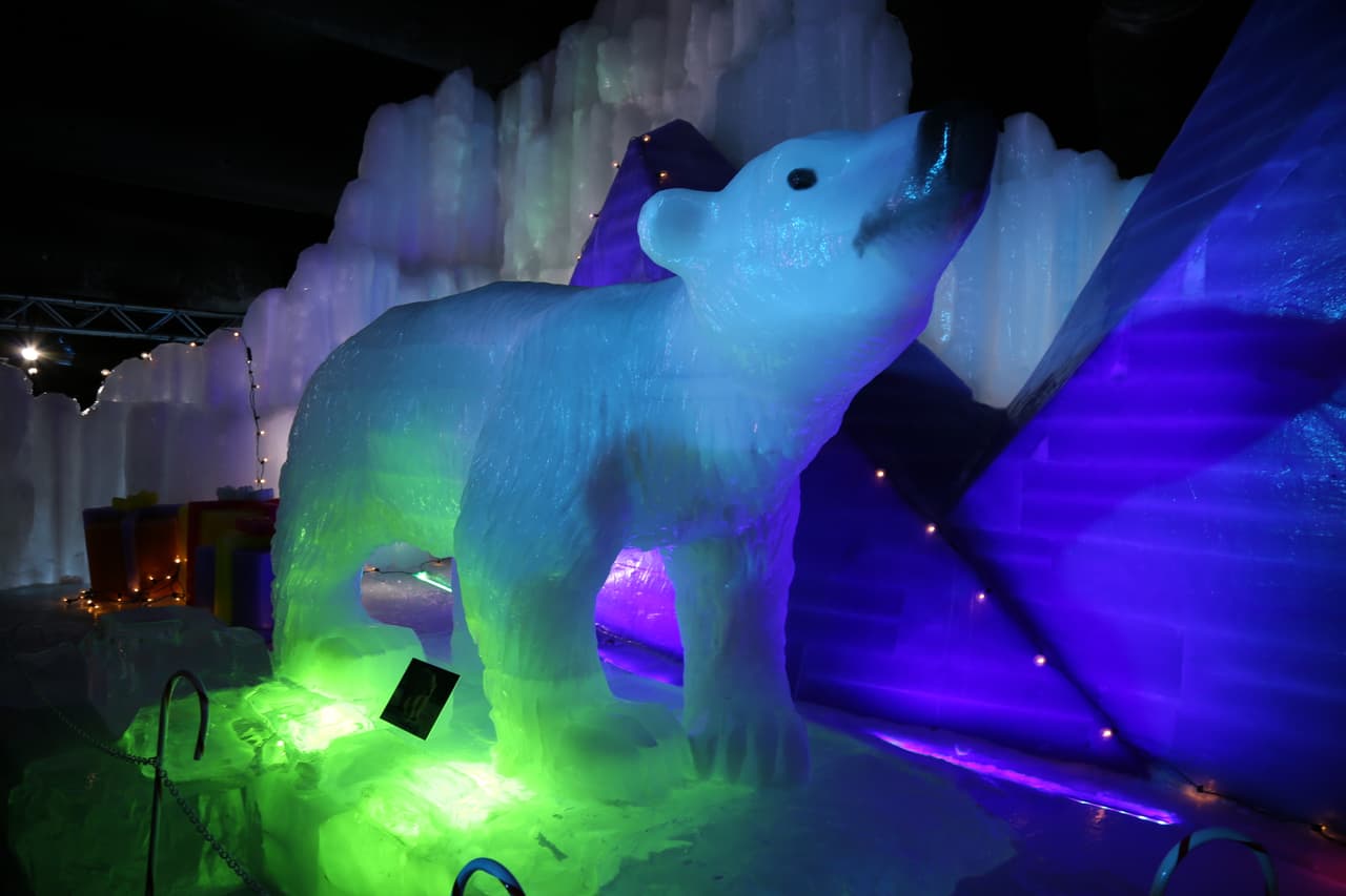 Así esculpieron los artistas la escultura de una de las especies polares más conocidas por todos: el oso polar, también llamado oso blanco, uno de los mamífero carnívoros terrestres más grandes de la tierra que habita en las zonas gélidas del hemisferio norte.