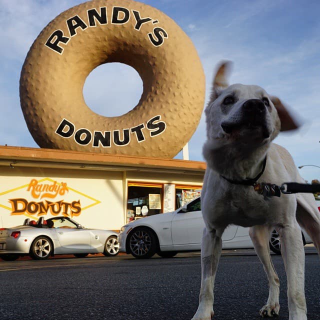 Ese viaje fue la última gran hazaña que hizo Poh antes de descansar.