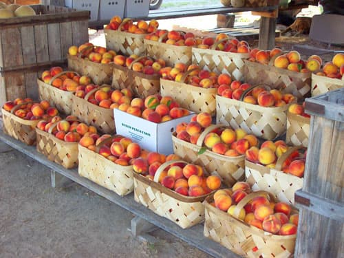 <b>Bynum Peach Farm: </b>Desde 1922 han abierto sus puertas al público y ofrecen una variedad de frutas y vegetales. Dirección: 119 Gallimore Road, Hwy. 73 East, Ellerbe, NC 28388.