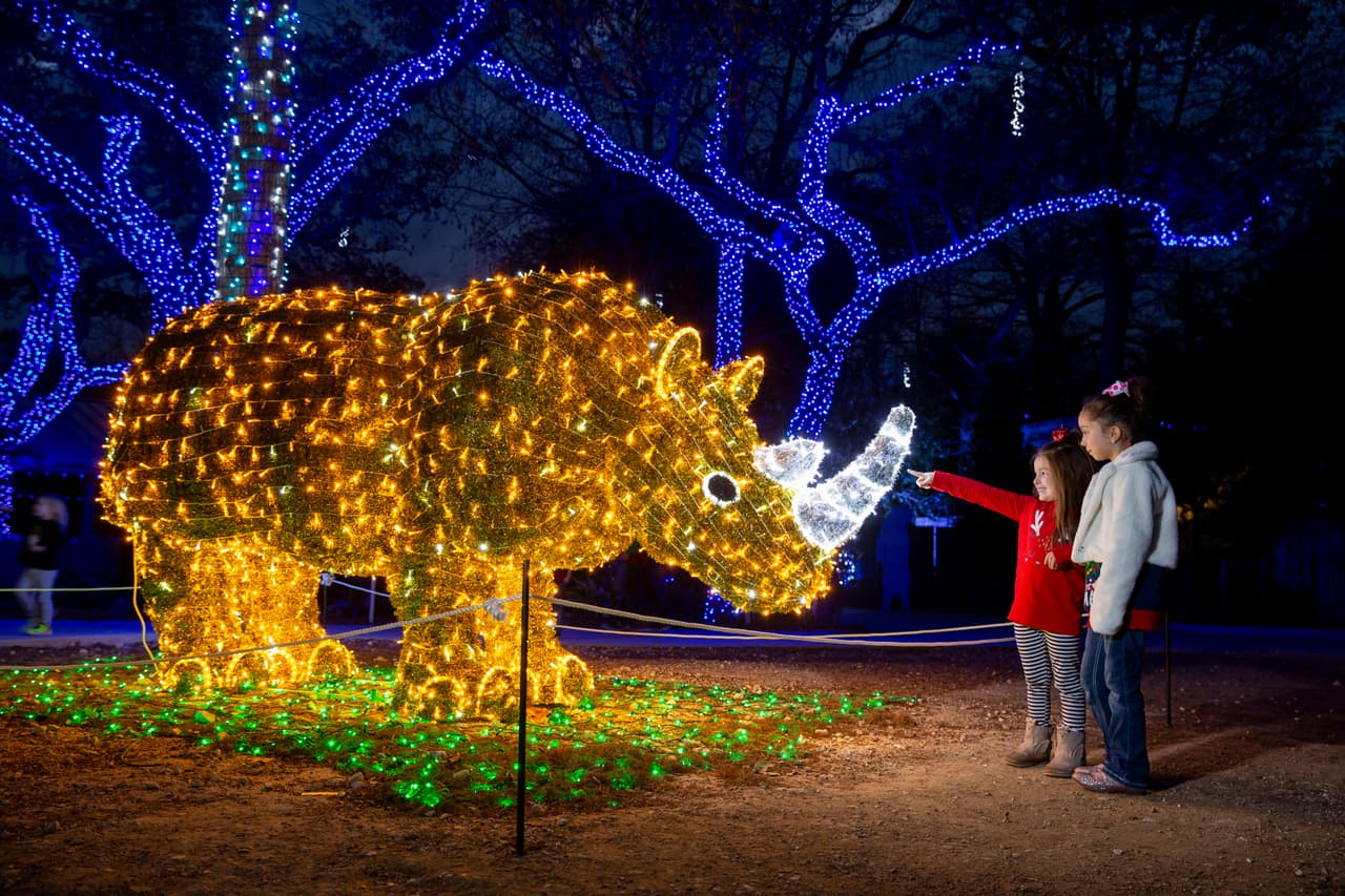 El zoológico de San Antonio está a punto de encenderse nuevamente para la celebración anual de las fiestas de Zoo Lights.