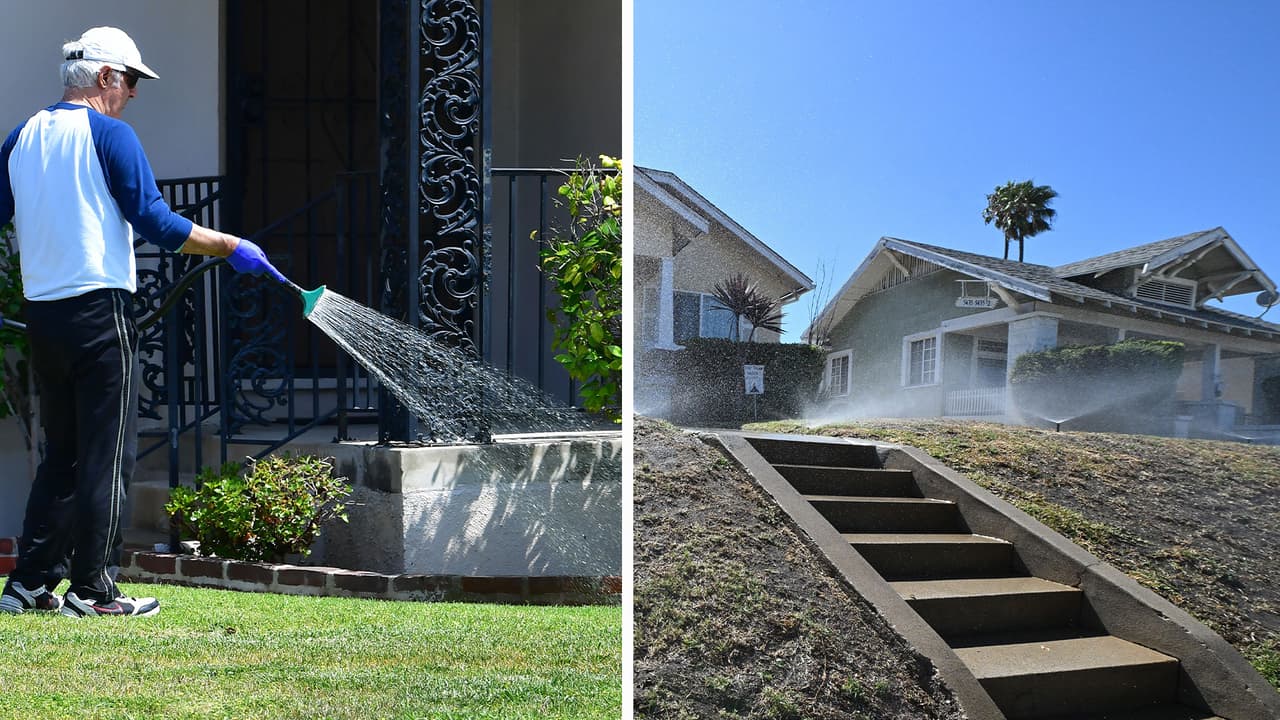 Entran en vigor restricciones de riego en varios condados de la Bahía de Tampa: ¿qué día puedes regar el césped?