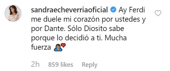 Sandra Echeverría, la protagonista de la nueva versión de 'La Usurpadora', también les mandó un mensaje de aliento.