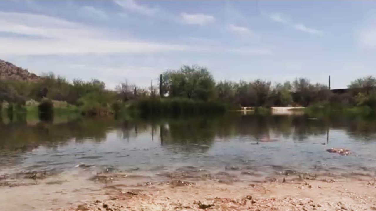 Defensa de Quitobaquito: Tohono O'odham y Adelita Grijalva tratan de evitar el segundo muro fronterizo