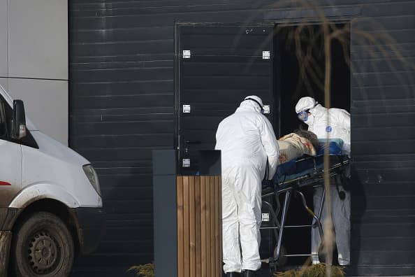 Georgia reporta 26 muertes por coronavirus y 800 casos positivos