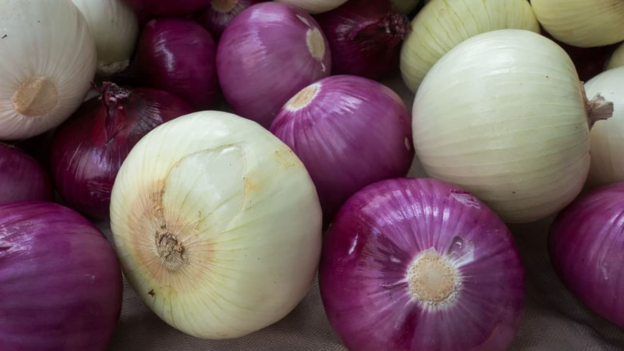 Ensaladas con cebollas de Bakersfield son retiradas por temor de contaminación con salmonela