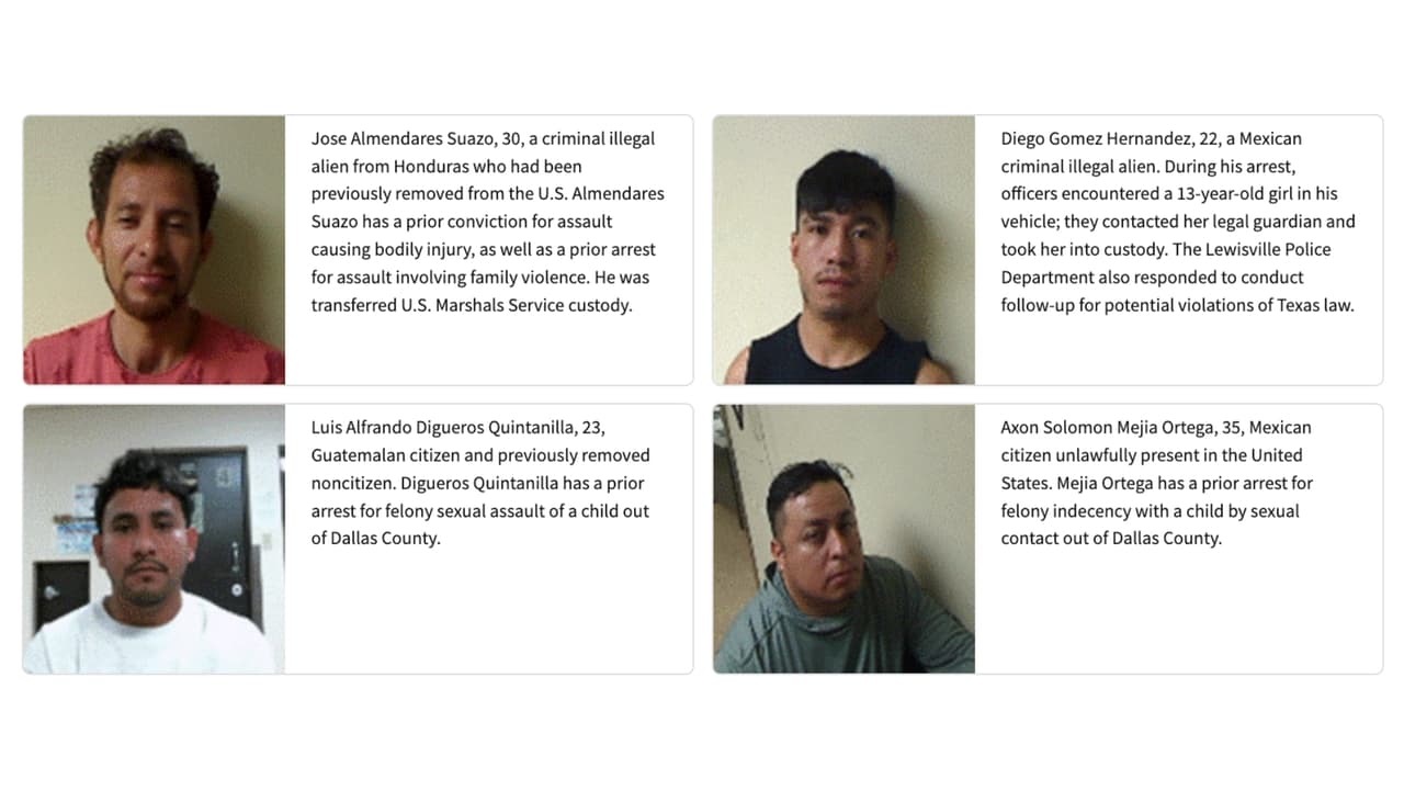 Otros cuatro detenidos identificados por ICE durante el operativo en el lago de Lewisville, la agencia reportó deportaciones y antecedentes previos entre ellos.