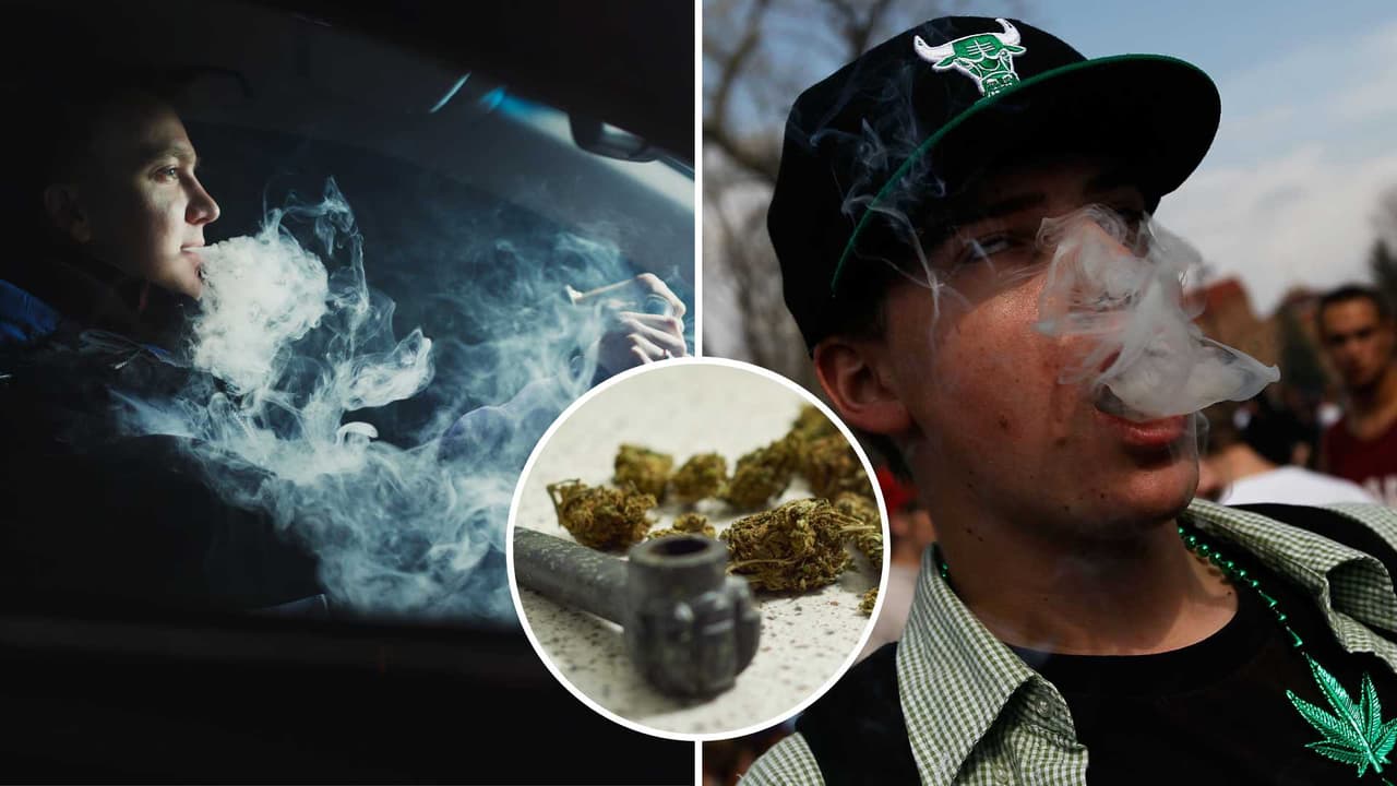 Olor a marihuana ya no es suficiente para que la policía te revise el auto en Illinois