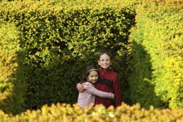 Greenan Maze, Irlanda. En las colinas de Wicklow, a una hora de Dublín, no faltarán las risas mientras recorren dos gigantes laberintos en este centro.