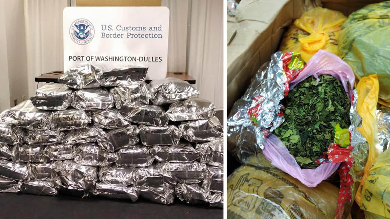 Incautan más de 275 libras de narcóticos que se dirigían hacia Georgia