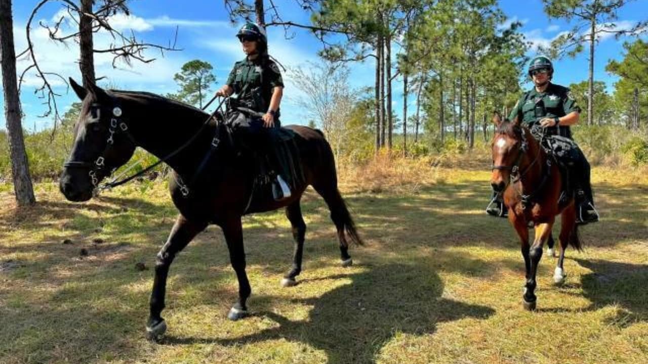 Stephen Sterns fue arrestado y acusado de agresión sexual y posesión de material de abuso sexual infantil, dijeron las autoridades. 
<b>Tras descubrir imágenes y videos de abuso en su teléfono, los investigadores creen que se cometieron delitos sexuales en la casa de la familia</b>.