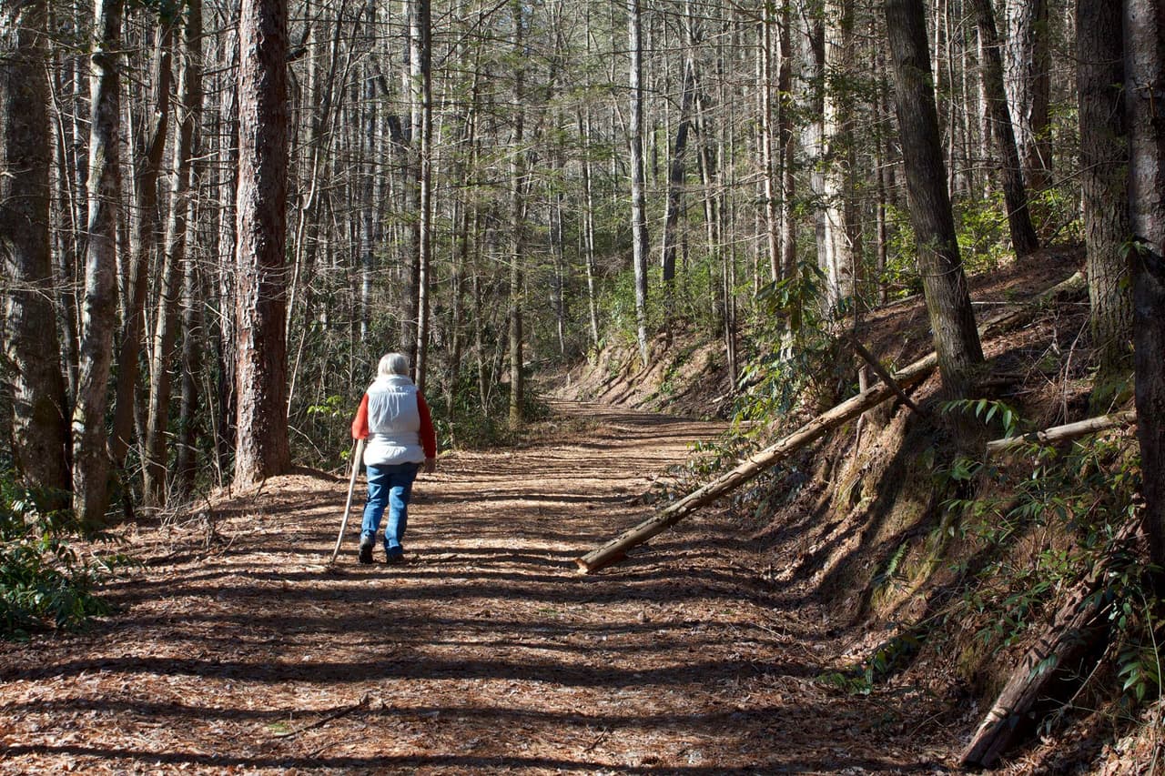 <b>Gorges State Park (Sapphire)</b>: 
<br>
<b>Sitio web</b>: 
<a href="https://www.ncparks.gov/state-parks/gorges-state-park">https://www.ncparks.gov/state-parks/gorges-state-park</a> 
<br>
<a href="https://maps.app.goo.gl/VKayBzCBi18WCtDo9"><b>Cómo llegar</b></a>
<b> </b>
<br>
<br>Ubicado en el condado de Transylvania, cerca del punto de intersección de Carolina del Norte, Carolina del Sur y Georgia, el parque estatal Gorges cuenta con 26 cascadas, precipicios de roca escarpados y más de 76 millas para explorar a pie y en bicicleta.