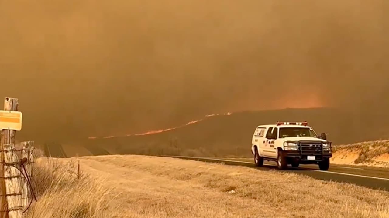 Entre las reglas que el Gobernador Abbott ha autorizado eliminar para atender la contingencia están: reglamentos relacionados con los obstáculos para circular entre los pastizales y brechas para vehículos de emergencia o del estado. También la eliminación eficiente de los cadáveres de animales.