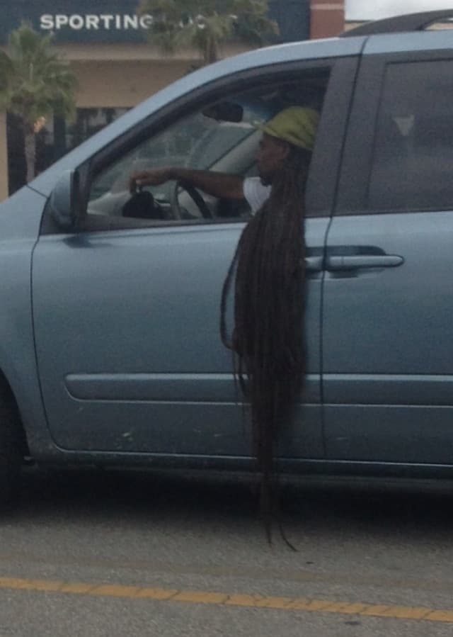 Cosas insólitas que solo se ven en Florida.