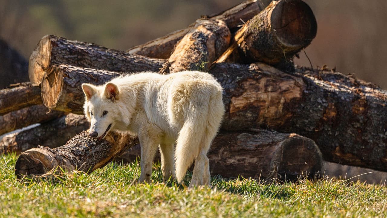 <h3 class="cms-H3-H3">¿Y esto qué tiene que ver conmigo? </h3>
<br>Mucho más de lo que parece. Proyectos como este 
<b>nos recuerdan que la ciencia puede ser una aliada para proteger la vida, no solo la del pasado, sino la del presente y el futuro</b>. Y que el norte de Texas no solo es hogar de industrias o carreteras, sino también de ideas que 
<b>pueden cambiar el rumbo del planeta.</b>