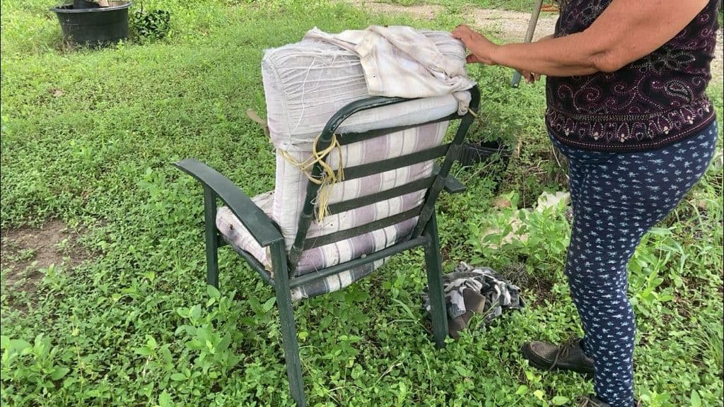 La vecina afirmó que ya los vecinos se habían quejado a la Policía el año pasado debido a las abejas del área.