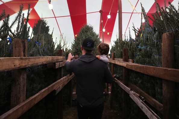 <b>Abrameit's Tree Farm</b> 
<br>US 183, Luling, TX 78648 
<br>
<br>En este lugar puedes elegir tu árbol de Navidad y puedes cortarlo. Tree Farm se encuentra a 1/4 de milla al sur de la US 183 y la intersección I-10 en el lado este de la US 183. Está abierto solo los fines de semana, comenzando el sábado después del Día de Acción de Gracias.