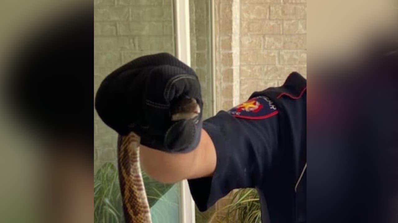 Horas más tarde, los oficiales del turno de día del mismo departamento de policía atendieron otro llamado.