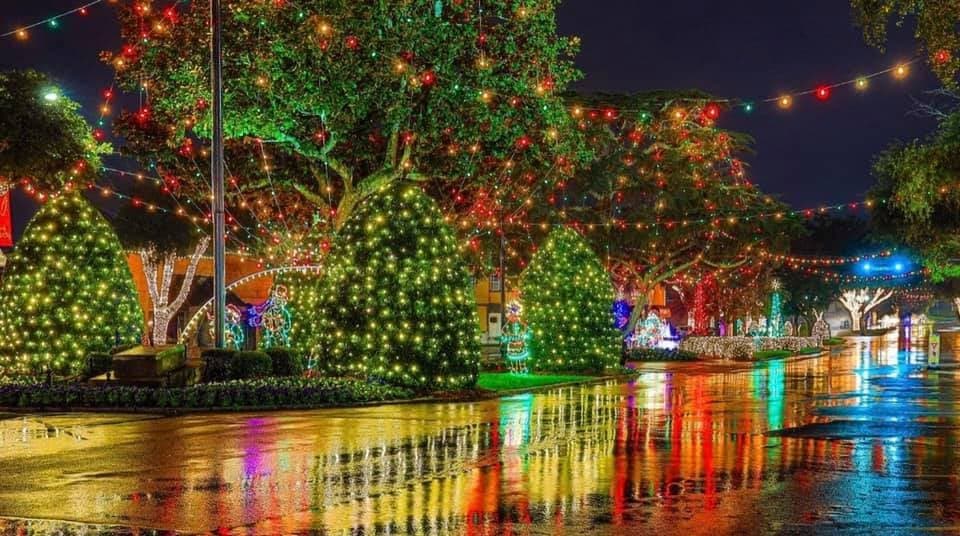 <b><a href="https://goo.gl/maps/SkhvzZFFuY4vuRQF7  " target="_blank">Forest City</a></b>. Cada temporada navideña, la calle principal de Forest City se ilumina con un millón de luces. Podrás conducir o caminar por Main Street y disfrutar de las luces que cuelgan en lo alto y envuelven los árboles hasta donde alcanza la vista. Si visitas durante el fin de semana, disfrutarás de una taza de chocolate caliente mientras te relajas en un carruaje. Luego, disfrutarás de la música navideña en vivo, podrás comprar en las tiendas y visitar la pista de patinaje sobre hielo.