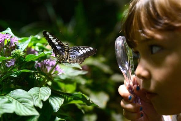 5. Washington: Es una ciudad en la que los niños curiosos y amantes de la ciencia encuentran un paraíso de museos.