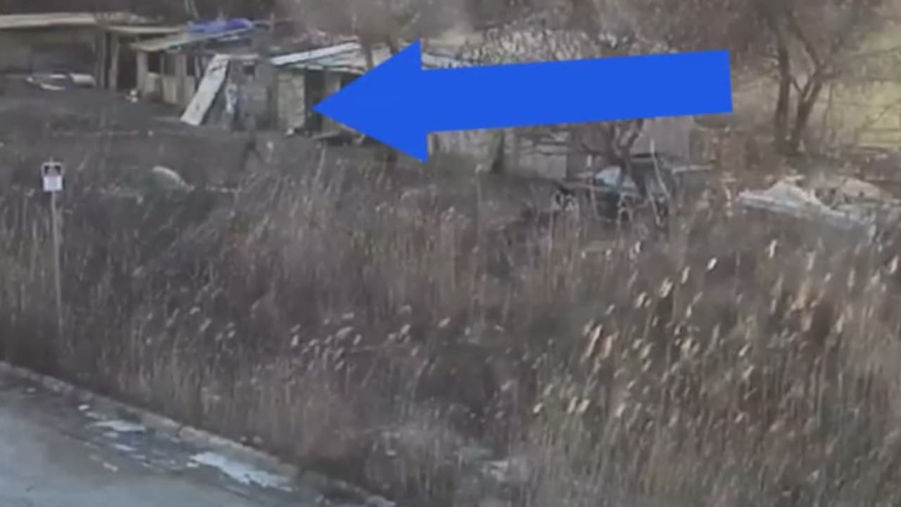 Buscan a sospechoso de incendiar establo en Filadelfia; dos caballos murieron y otros resutaron heridos