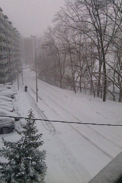 Yris Morillo envía esta imagen desde Nueva York junto con la frase: "Le ha cogido esta nieve con nosotros eh".