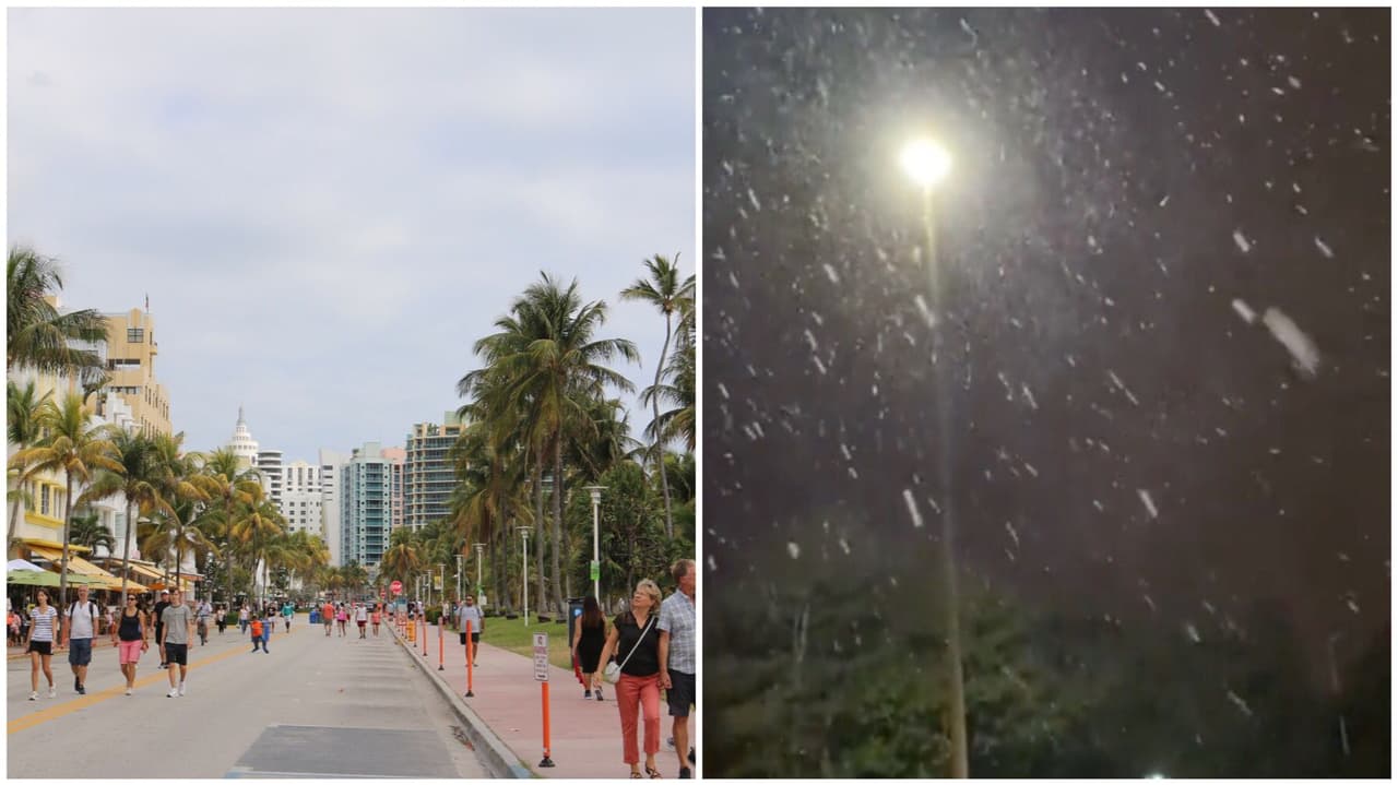 Nevó en Florida: ¿qué se espera para el sur del estado?