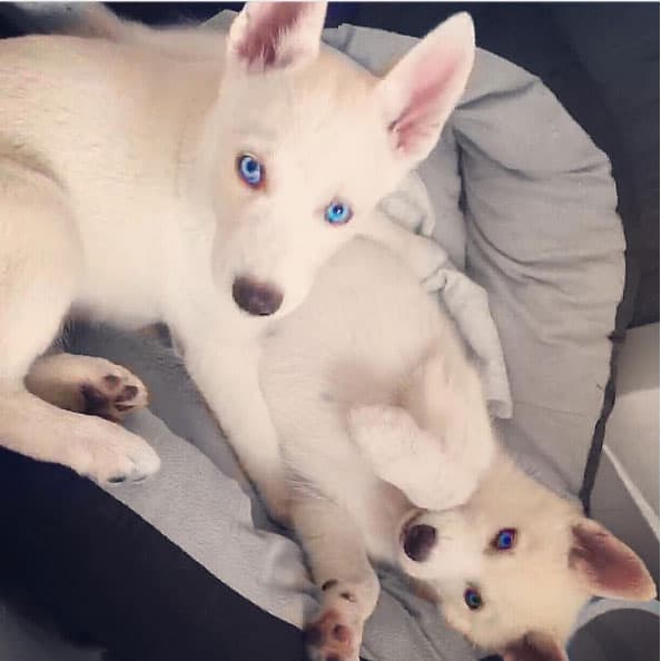 Extrañando a sus babies, como llamó esta imagen en Instagram.