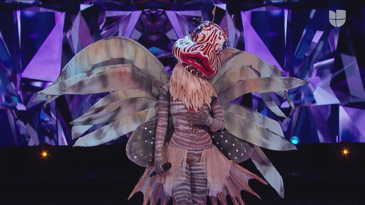 Este Pez llegó dispuesto a convencer a los jueces con su actuación, y vaya que dejó muy buena impresión con la intepretación del tema 'Muriendo Lento', en la versión que hace unos años realizara Belinda con el grupo Moderato.