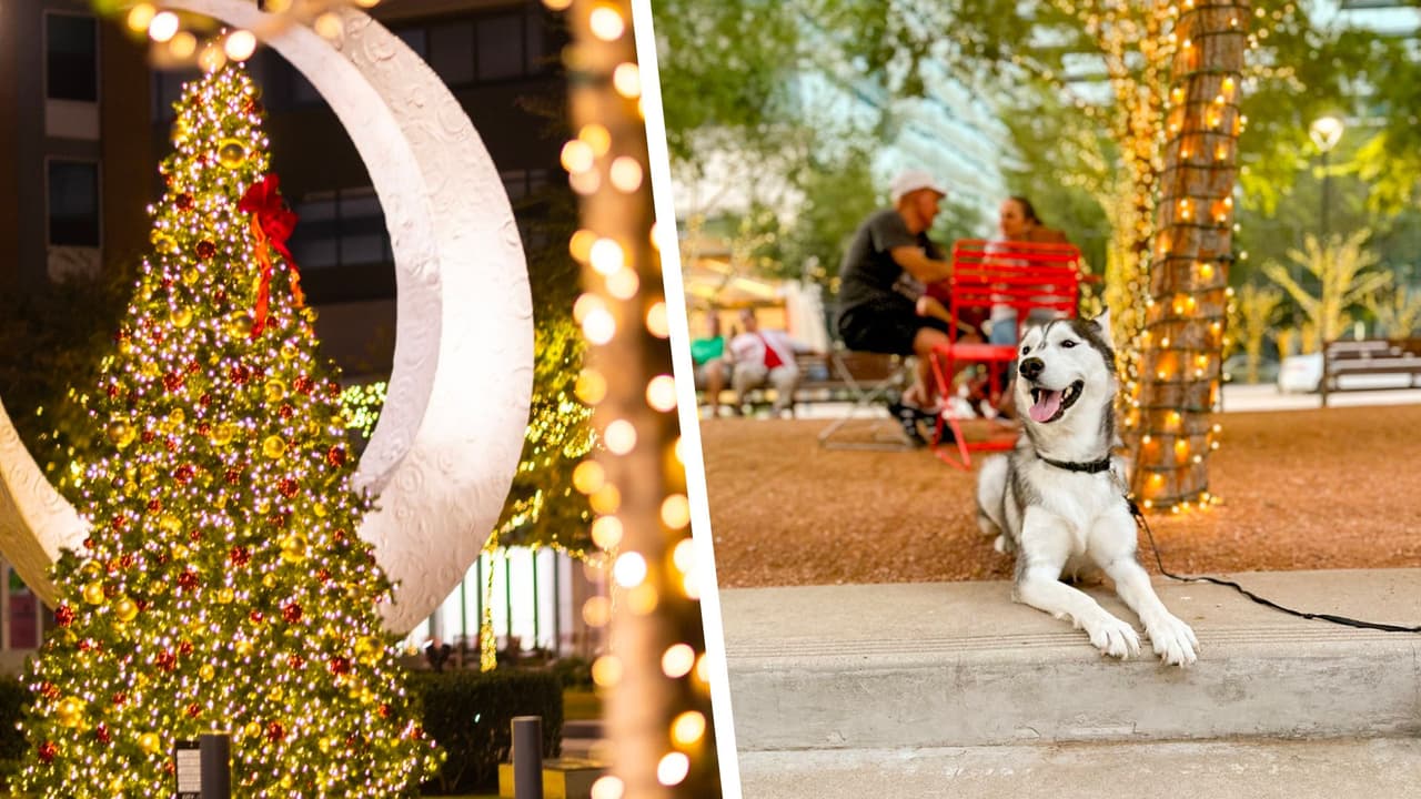 La plaza de eventos especiales en este centro comercial de Richardson 
<b>se ilumina con medio millón de luces, un impresionante árbol de Navidad de 18 pies</b>, hilos de luz entre los edificios y luces danzantes entre los árboles. ¡Una experiencia festiva que no querrás perderte!
<br>💰 
<b>Gratis</b>
<br>⏰ Hasta el 5 de enero. 
<b>Horario del centro comercial</b>
<br>📍 
<a href="https://maps.app.goo.gl/tNrr4LpVftaXS5bx8" target="_blank">1150 State St, Richardson</a>
