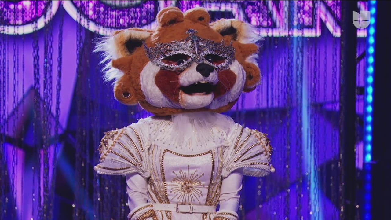 Los 'investigadores' mencionaron que Becky G, Danna Paola o Paty Cantú podrían ser la celebridad detrás de Mapache, mientras que El Escorpión apostó por Maité Perroni.
<br>