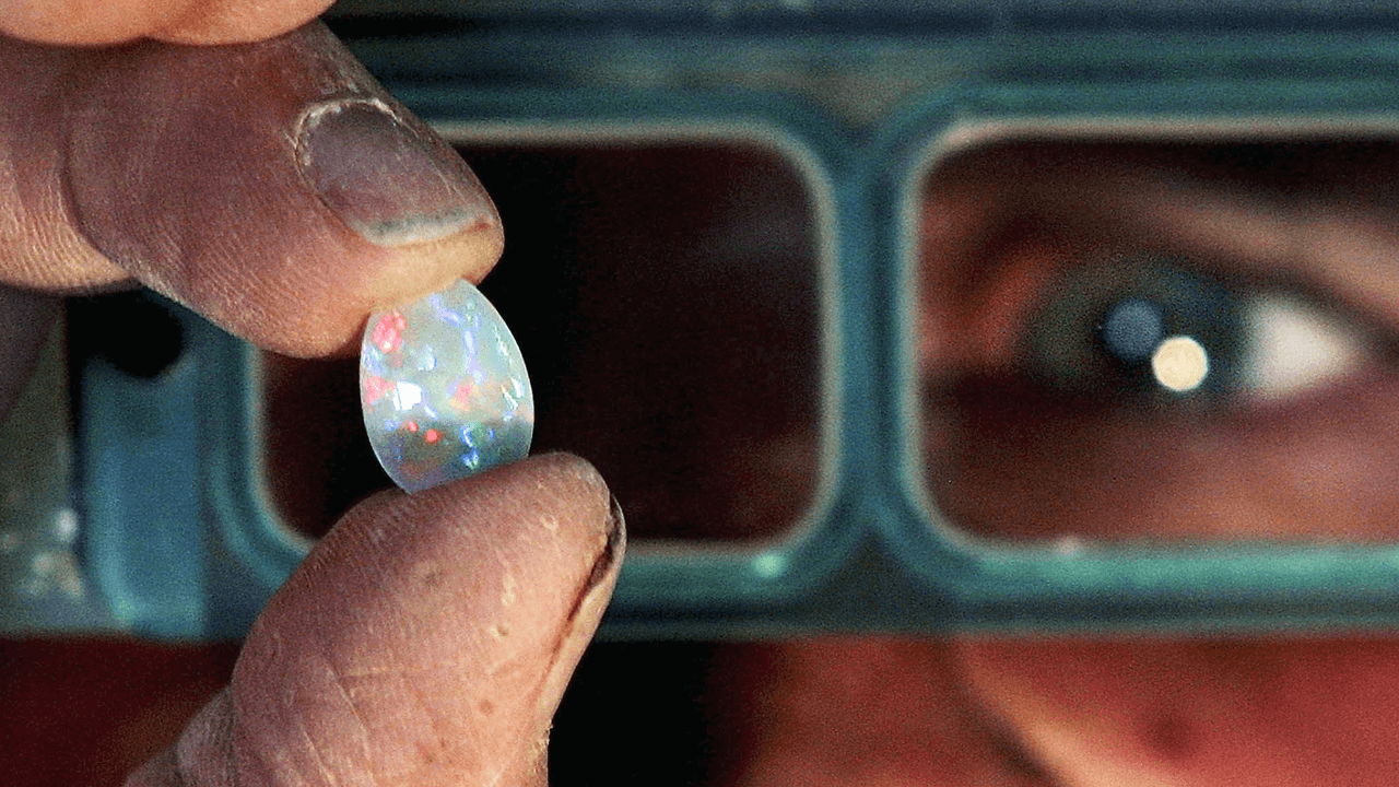 Hasta el descubrimiento del mencionado espécimen, no se tenía registro de ópalos que preservaran fósiles animales.