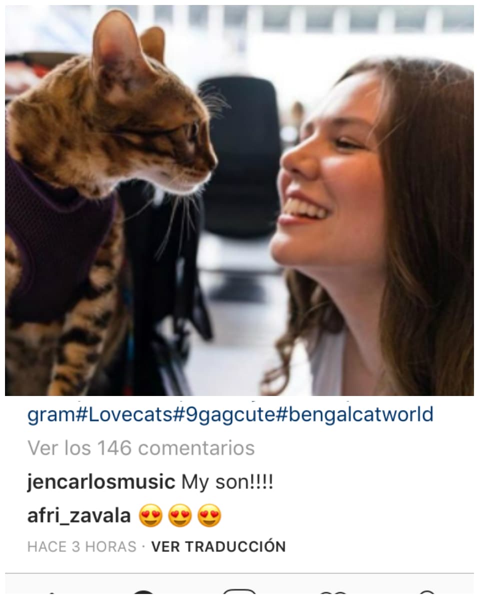 Incluso hay una buena noticia para el gato Ramón, mascota o "hijo" (como ella le dice) de Joy. Jencarlos Canela ya se apuntó para ser su papá adoptivo.