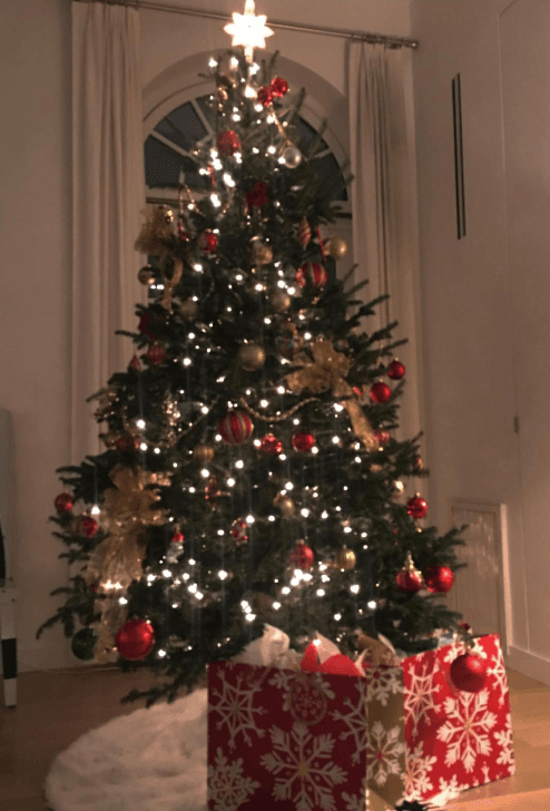 Y así quedó finalmente el árbol de la familia Rodríguez López en Nueva York.