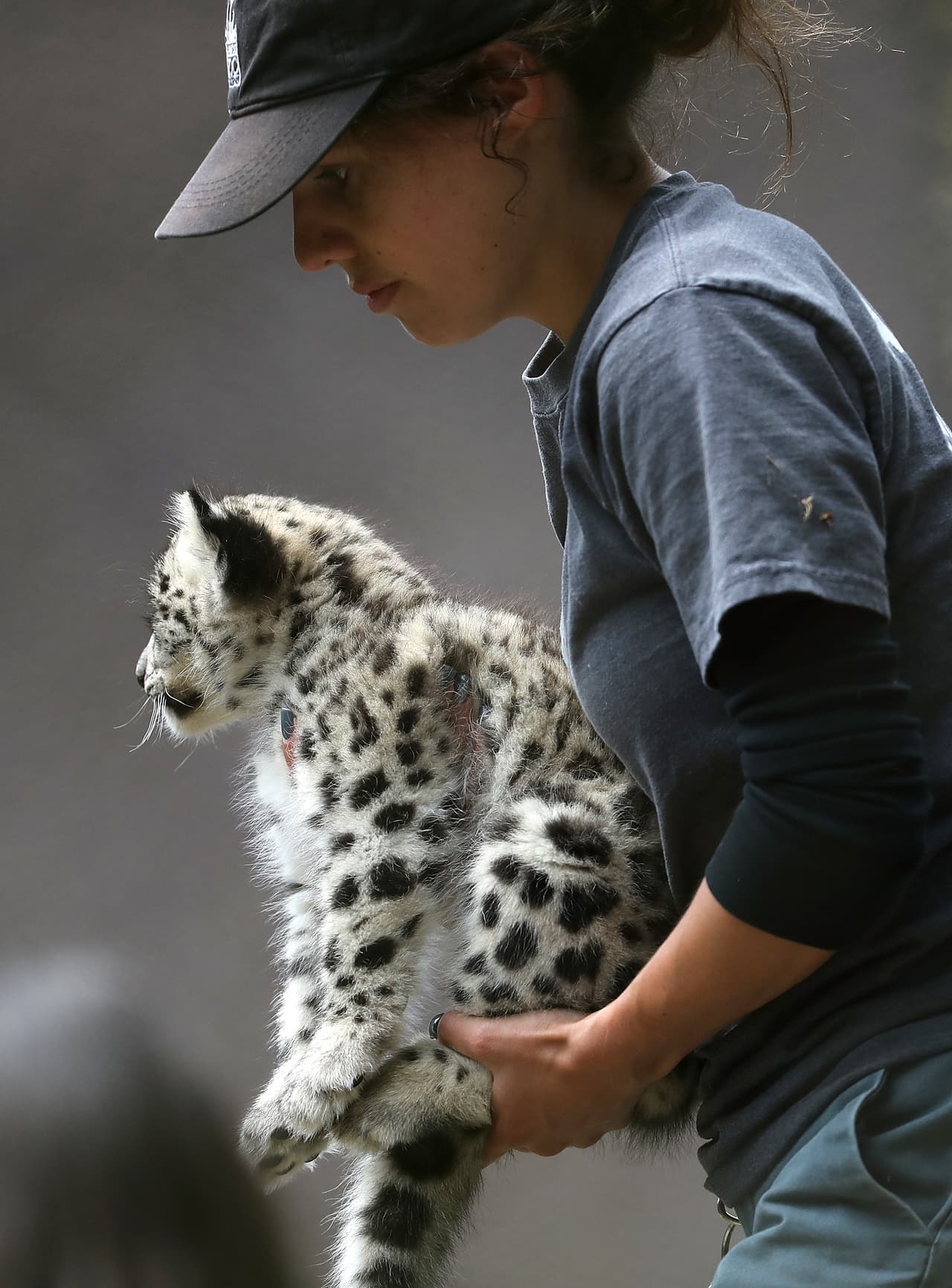 Programas de este tipo recuerdan la importancia de la conservación de las especies.