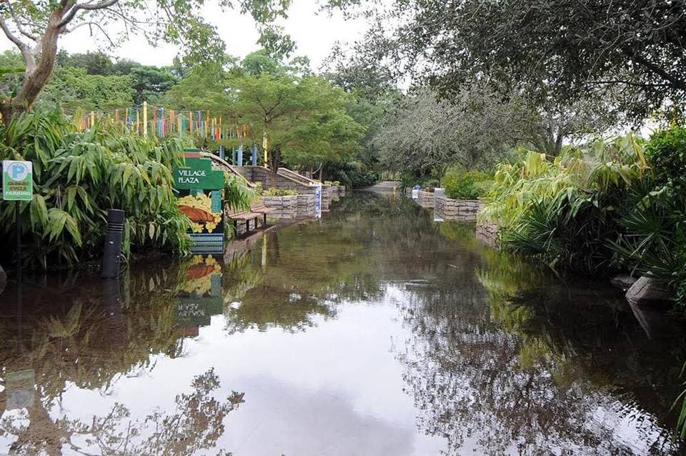 Zoo Miami bajo inundación