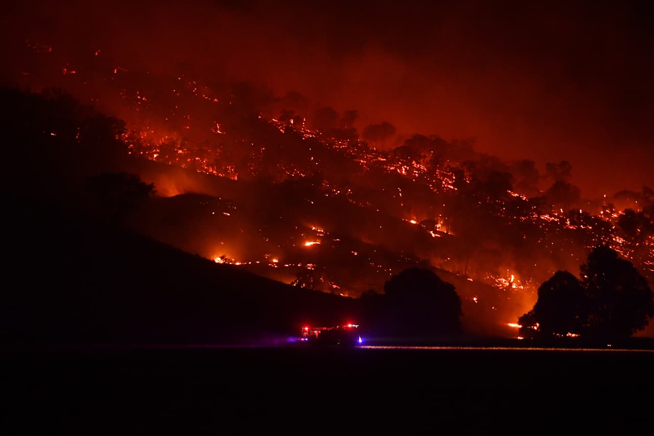 Helicóptero lleva comida a los animales afectados por los incendios en Australia
