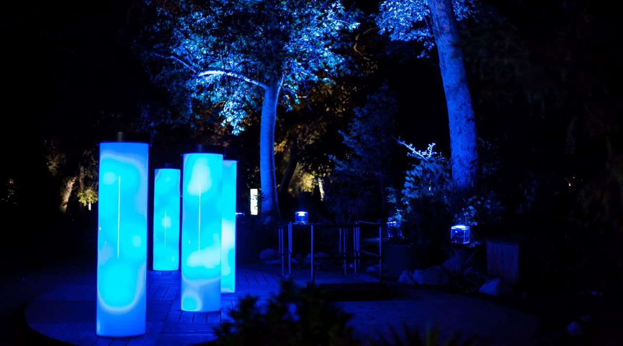 Los organizadores aseguran que han elegido para la instalación las áreas del parque que menos podrían alterar la vida de la fauna salvaje de la zona.