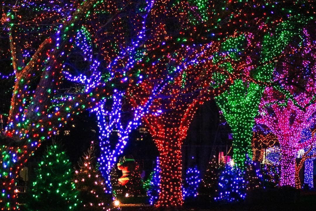 Según informaron los organizadores de la exhibición, un panel de expertos, junto con el equipo editorial de USA Today, seleccionó a los 20 nominados para cada categoría y 
<a href="https://www.univision.com/local/austin-kakw/asi-es-como-se-vera-el-famoso-trail-of-lights-de-austin-este-ano-video"><b>luego la votación estuvo abierta al público durante cuatro semanas.</b></a>