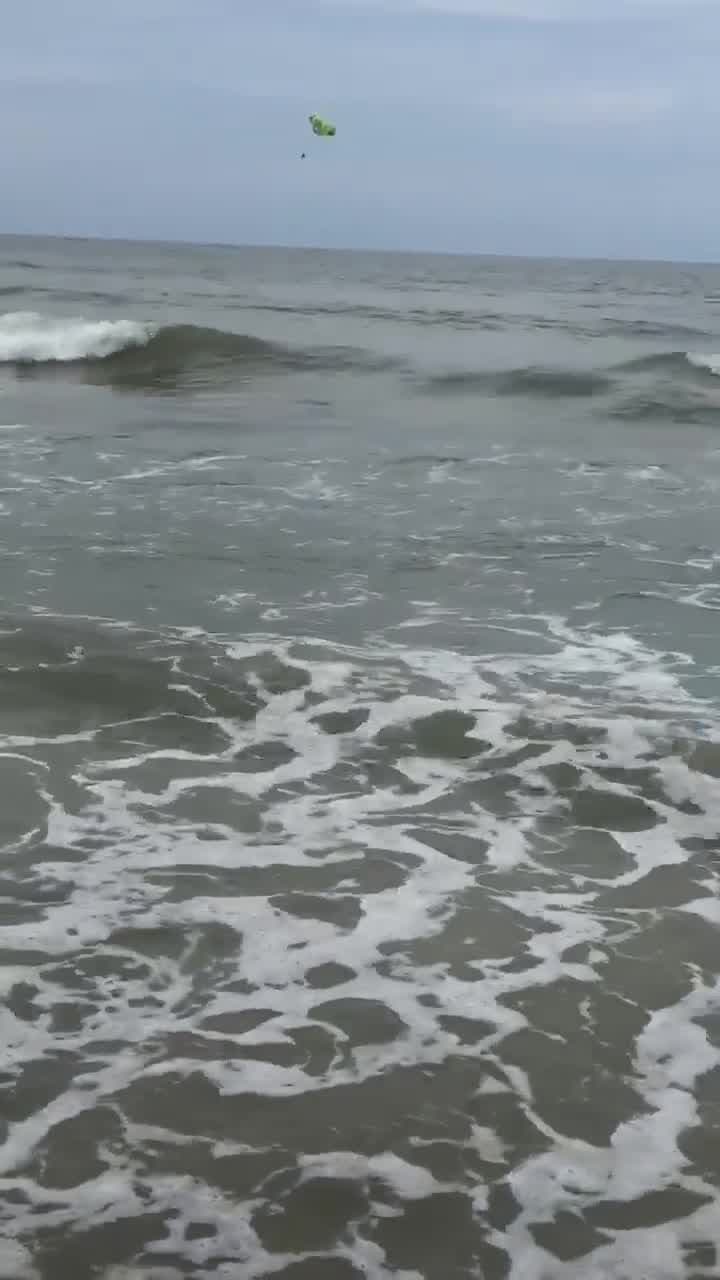 Tiburón en la orilla de la playa queda grabado en vídeo