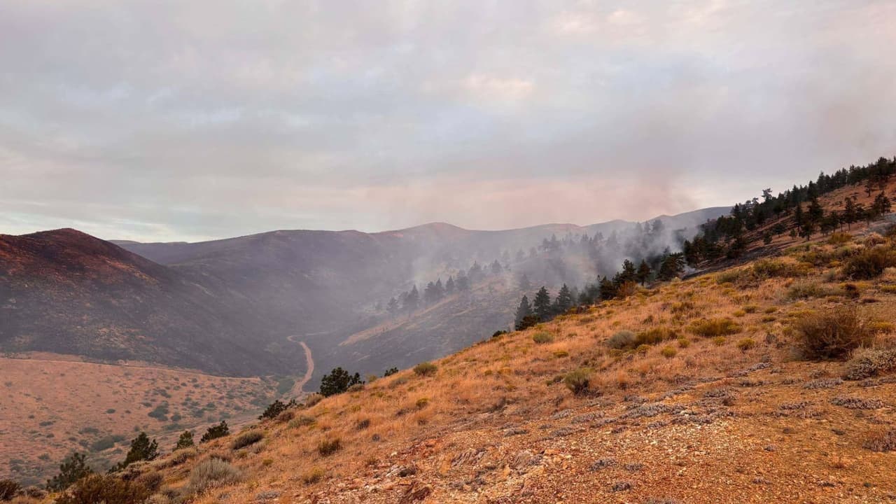 ¿Cómo avanzan las labores de contención del incendio Hawk en Reno, Nevada?