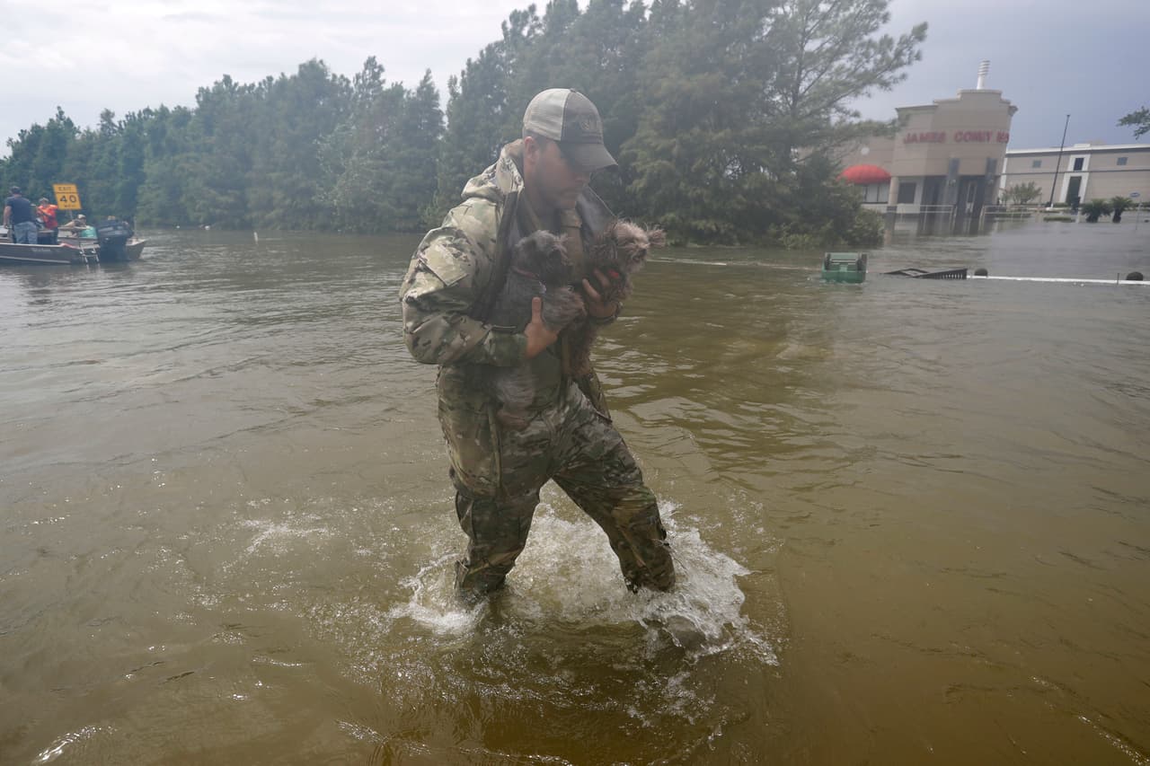 Un rescatista voluntario lleva en sus brazos a dos pequeños perros en Houston.