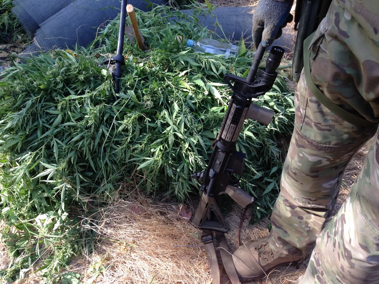 A las agencias del orden les preocupa que en ocasiones los cultivadores de cannabis portan rifles de asalto para defenderse de carteles rivales.