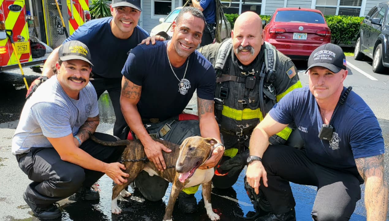 Así "resucitan" a un perro en medio de un incendio
