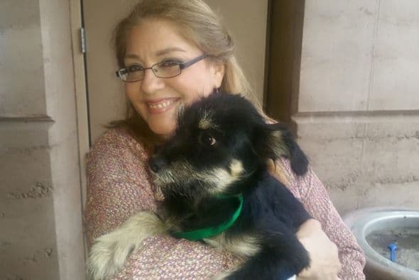 Mariela Ell sacó de las calles a Shanti, convirtiéndose en madre por tercera vez. La pequeña fue bien recibida por sus "hermanos peludos'.