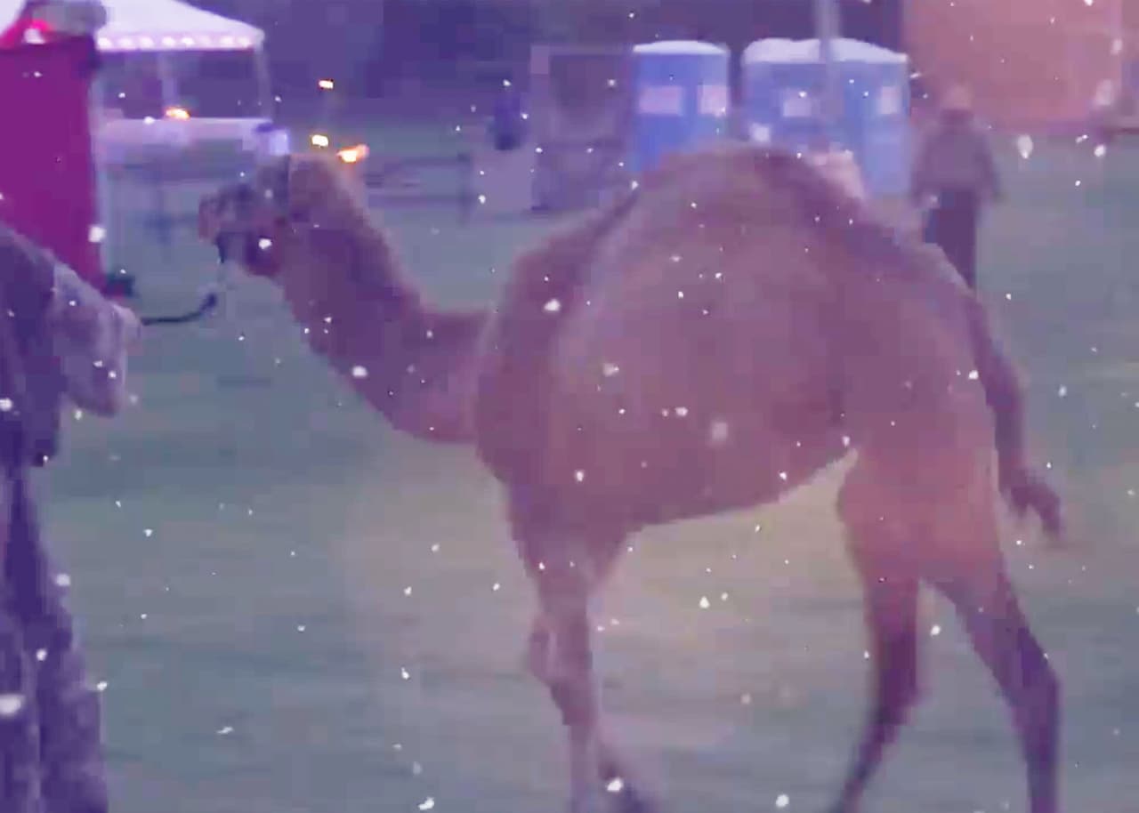 <b>Journey to Bethlehem Nativity en Laguna Hills</b>
<br>
<b>Cuándo:</b> 13, 14 y 15 de diciembre entre las 5 y 8 de la tarde
<br>
<b>Dónde: </b>23331 Moulton Parkway, Laguna Hills, CA 92653
<br>
<b>Costo:</b> Entrada gratis, puedes llevar donaciones.
<br>
<br>
<br>