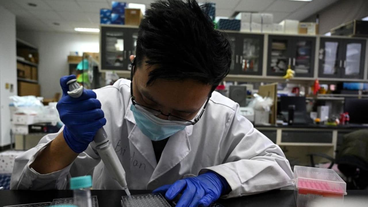 Cinco cosas que debes saber sobre BA.2, la subvariante de ómicron