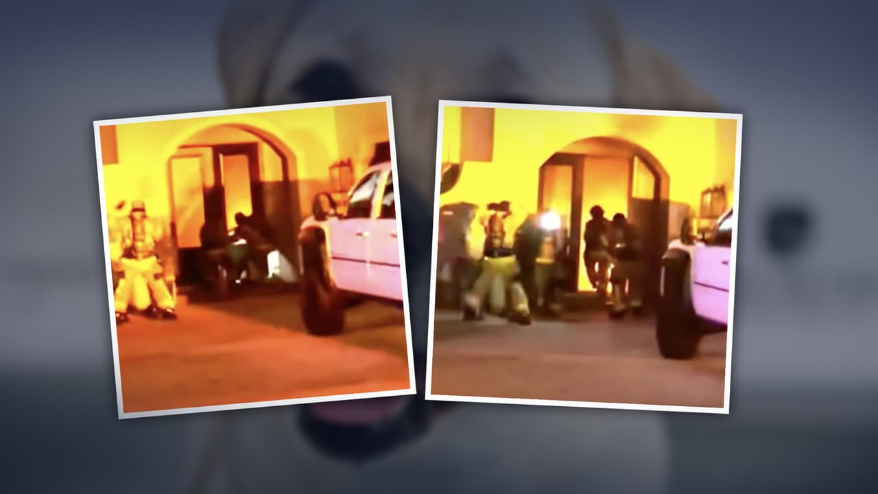 Así rescataron los bomberos a un perro durante un voraz incendio en Wellington