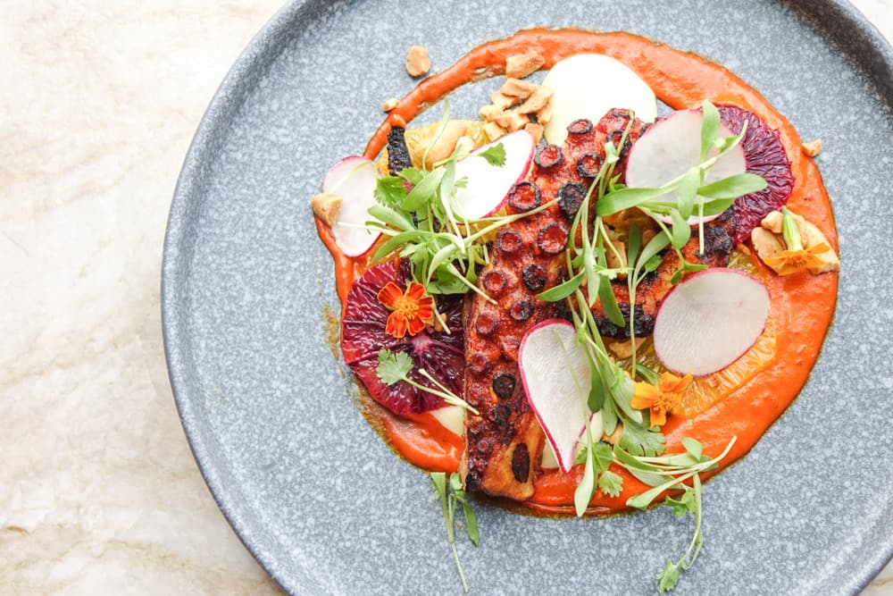 <b><a href="https://www.alma-atlanta.com/buckhead-hours-and-location/">Número 3: Alma Cocina Buckhead </a></b>
<a href="https://www.alma-atlanta.com/buckhead-hours-and-location/">(3280 Peachtree Rd NE Ste 100 Atlanta, GA 30305)</a>. Se precian de contar con “ingredientes frescos y brillantes y las influencias regionales brillan a través de las tortas para el almuerzo y los taquitos para untar, nuestros guacamoles y salsas de temporada, y el tradicional mole de pollo de Oaxaca lleno de rico sabor. Pruebe la selección de tequila más diversa de la ciudad y una ingeniosa lista de cócteles mientras brindamos una experiencia gastronómica inolvidable”.